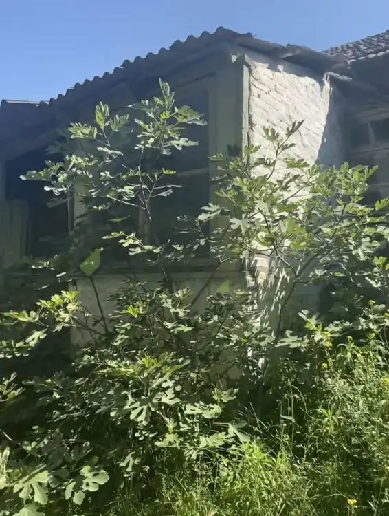 20 sot Torpaq Satılır, Qazax — Torpaq, Qazax (7)