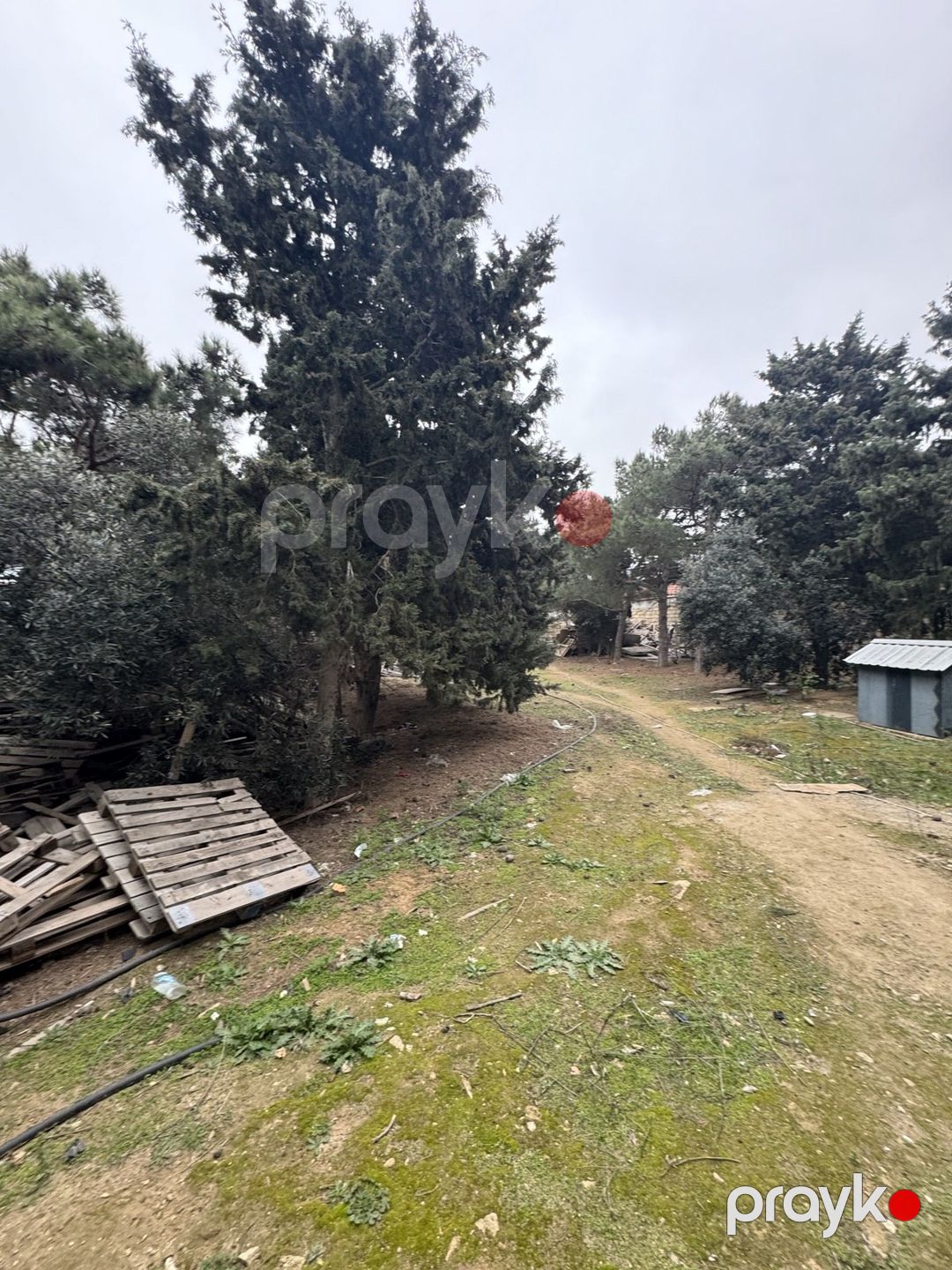 Satılır torpaq 25 sot — Torpaq, Bakı (3)