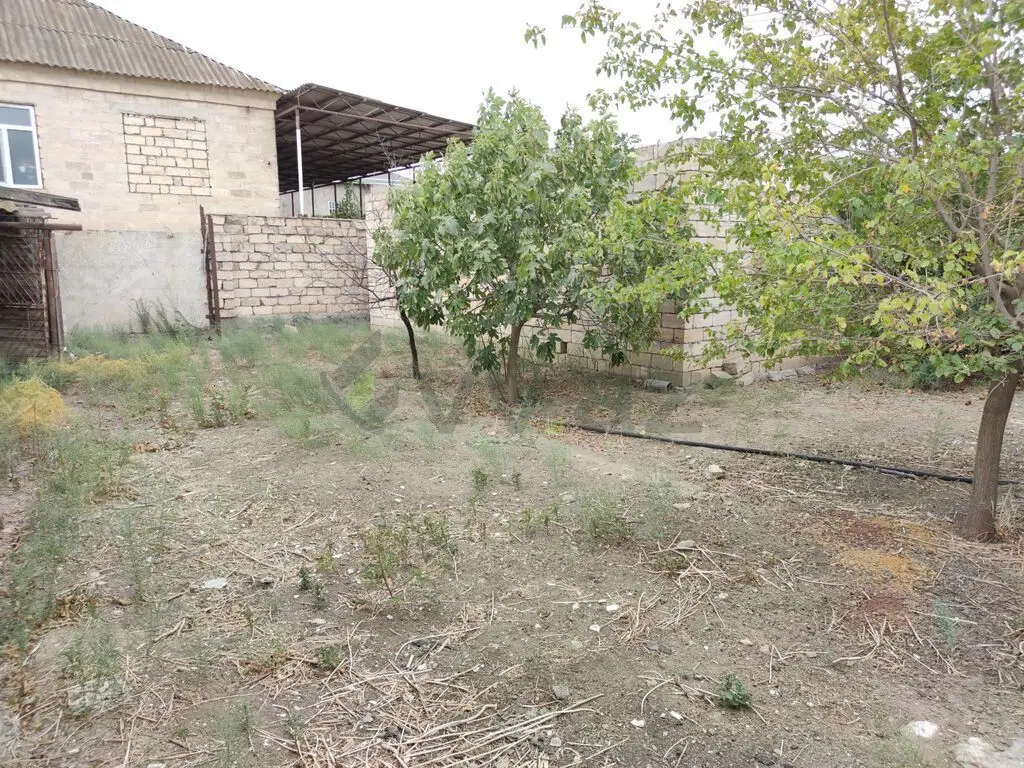 6 sot Torpaq Satılır, Şirvan — Torpaq, Şirvan (11)