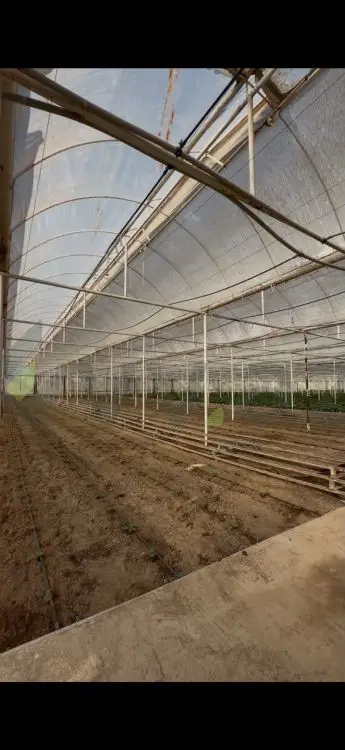 Hazır biznes Satılır, Zirə, Xəzər, Bakı — Daşınmaz əmlak, Bakı (2)