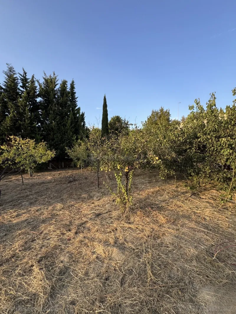 Satılır Torpaq 2 sot Bakı, Abşeron r., Novxanı — Torpaq, Bakı (3)