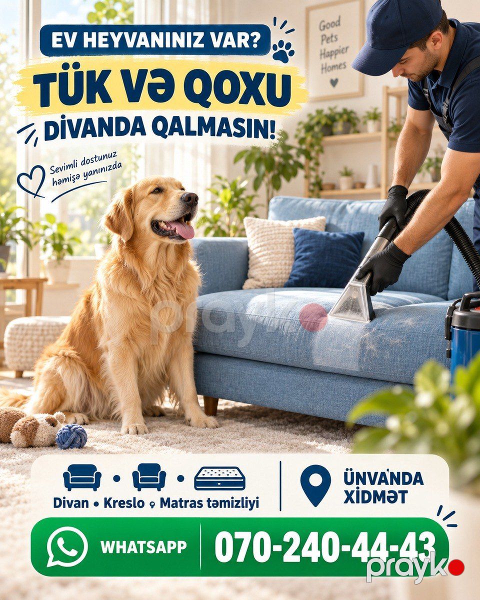 Yumşaq mebellərin təmizlənməsi — Təmizlik, Bakı (4)