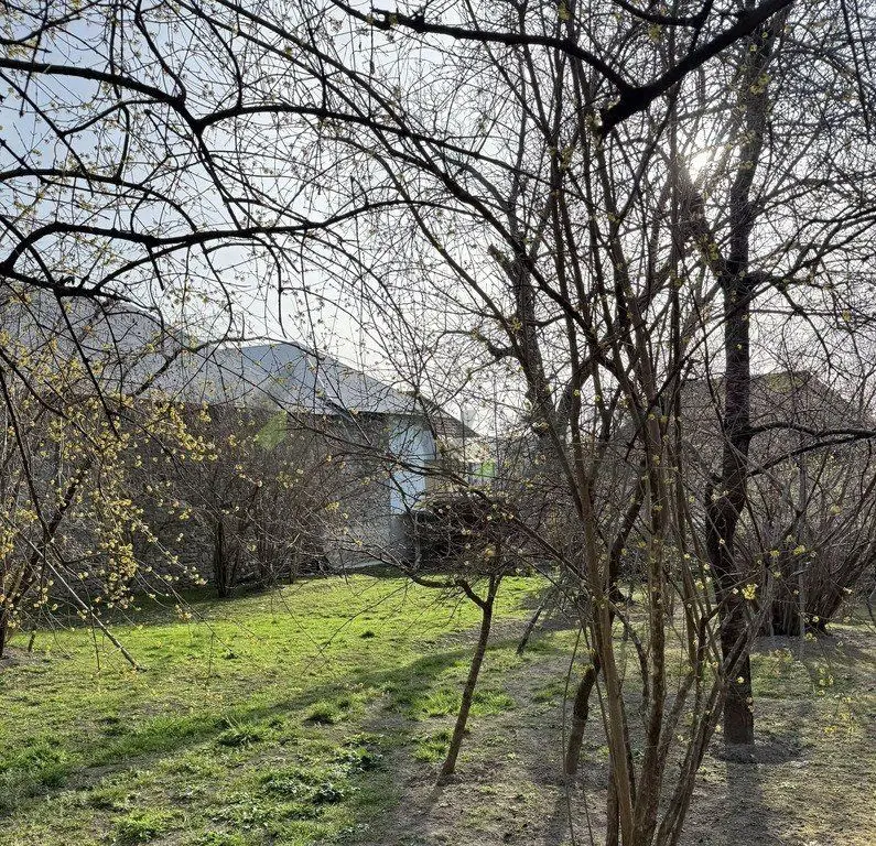 8 sot Torpaq Satılır, Şəki — Torpaq, Şəki (4)