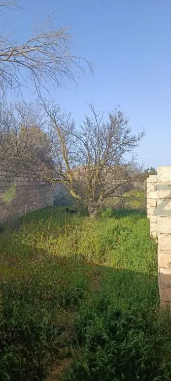 7 sot Torpaq Satılır, Qala, Xəzər, Bakı — Torpaq, Bakı (3)