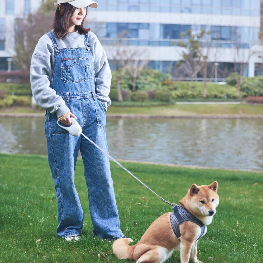 Petkit Go free Max Dog Retractable leash — Mallar, Bakı (3)