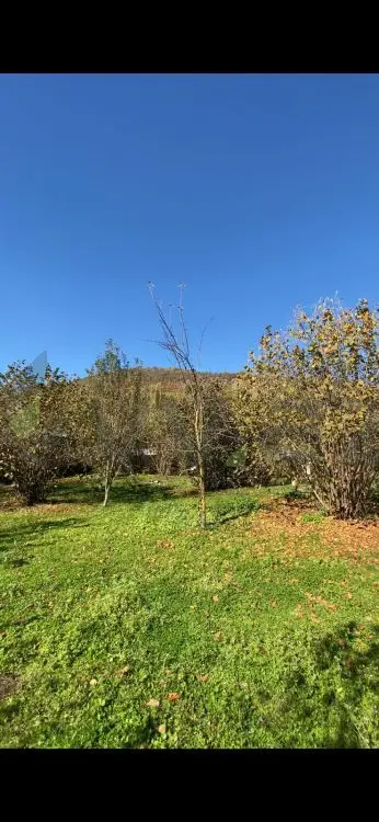 7 sot Torpaq Satılır, Qəbələ — Torpaq, Qəbələ (4)