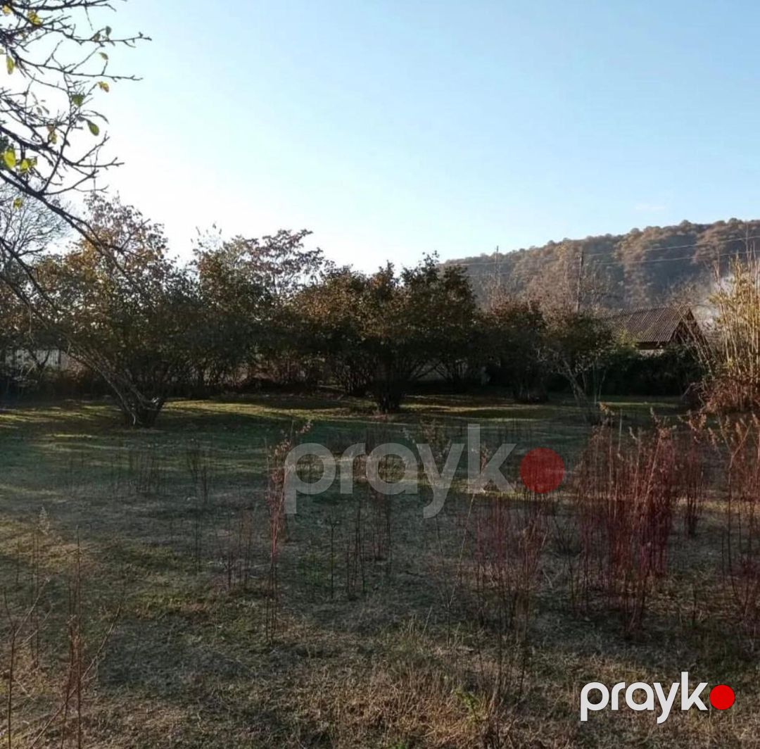54 sot torpaq sahəsi, Zaqatala ş — Torpaq, Zaqatala (2)