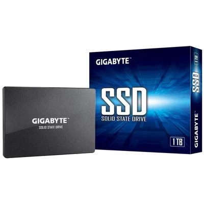 SSD Gigabyte 1TB (GP-GSTFS31100TNTD) — Bakı