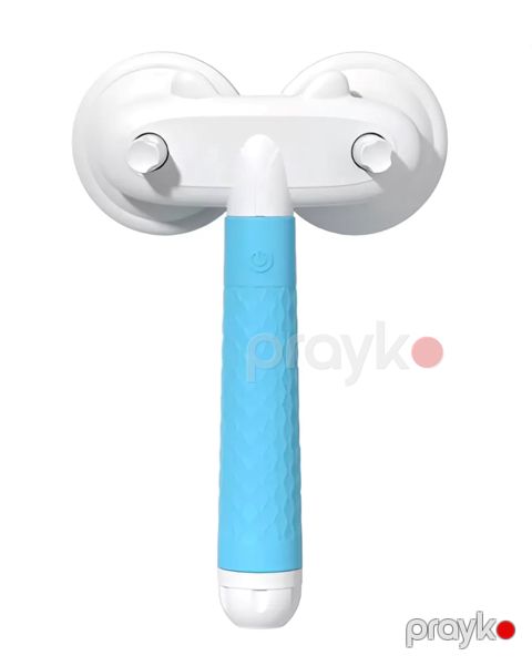 Heyvanlar üçün elektron daraq WS_690516, ağ/mavi — Bakı