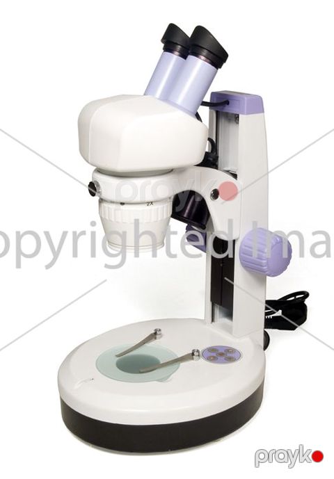 Mikroskop Levenhuk (bioloji) 5ST 35321 — Bakı