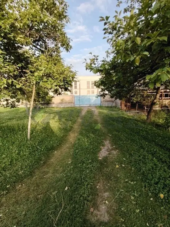 4 otaqlı Həyət evi Satılır, Balakən — Ev, villa, Balakən (4)
