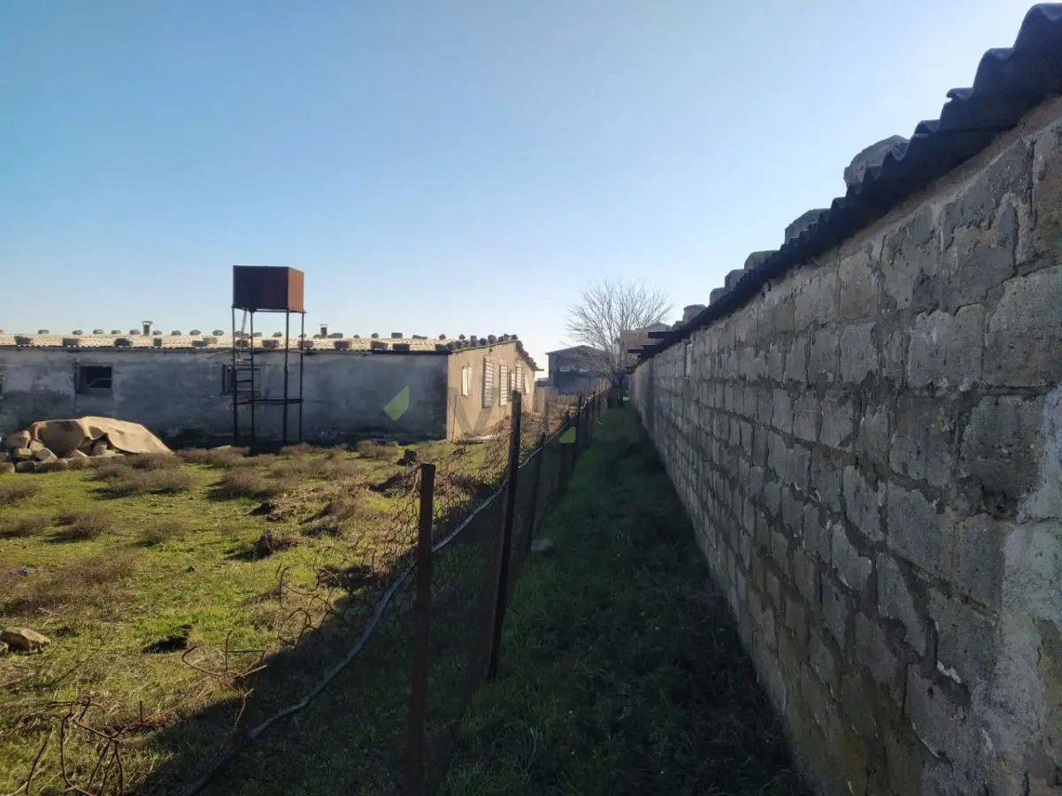 105 sot Torpaq Satılır, Suraxanı qəs., Suraxanı, Bakı — Torpaq, Bakı (4)