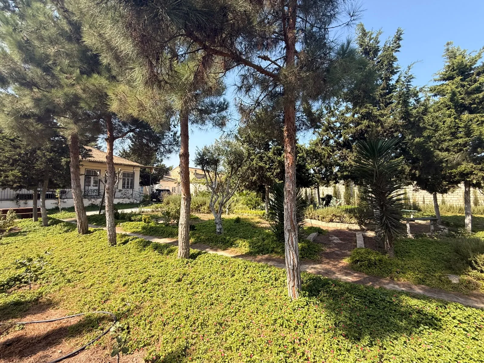 Mərdəkan, Torpaq satılır - 13.2 sot — Torpaq, Bakı (8)