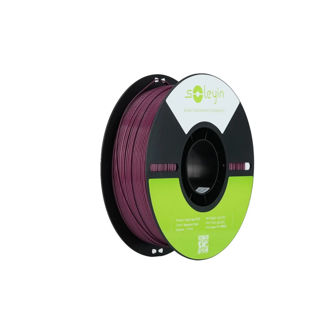 Soleyin Basic Petg Mangosteen Purple 1.75mm — Bakı