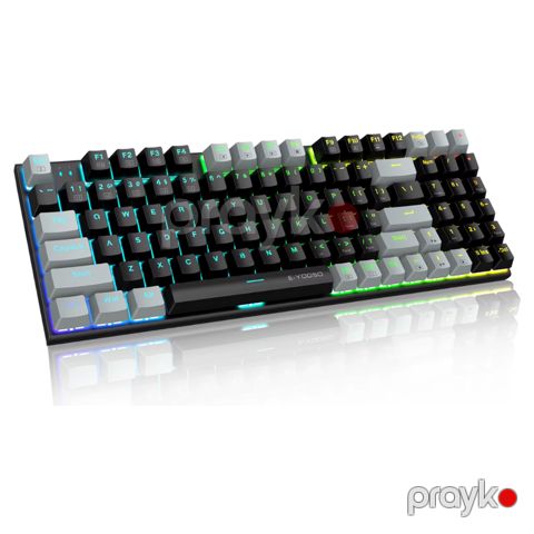 Klaviatura Eyooso Z-19. Black Gray Wired. 94keys. Blue switches (KB000069-1-1) — Bakı
