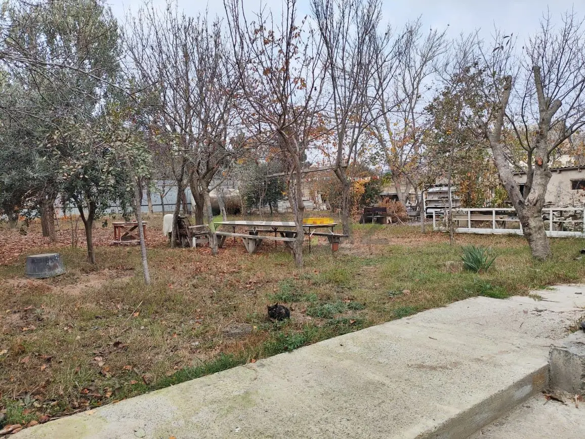 10 sot Torpaq Satılır, Masazır, Abşeron — Torpaq (7)