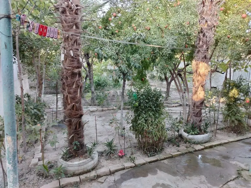 4 otaqlı Həyət evi Satılır, Göyçay — Ev, villa, Göyçay (10)