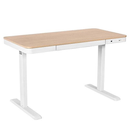 2E CE218D-Motorized Gaming Desk — Bakı