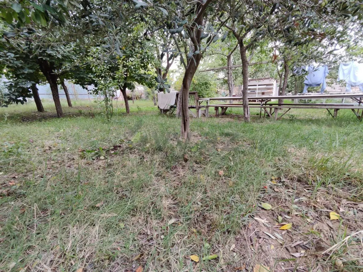 10 sot Torpaq Satılır, Masazır, Abşeron — Torpaq (6)