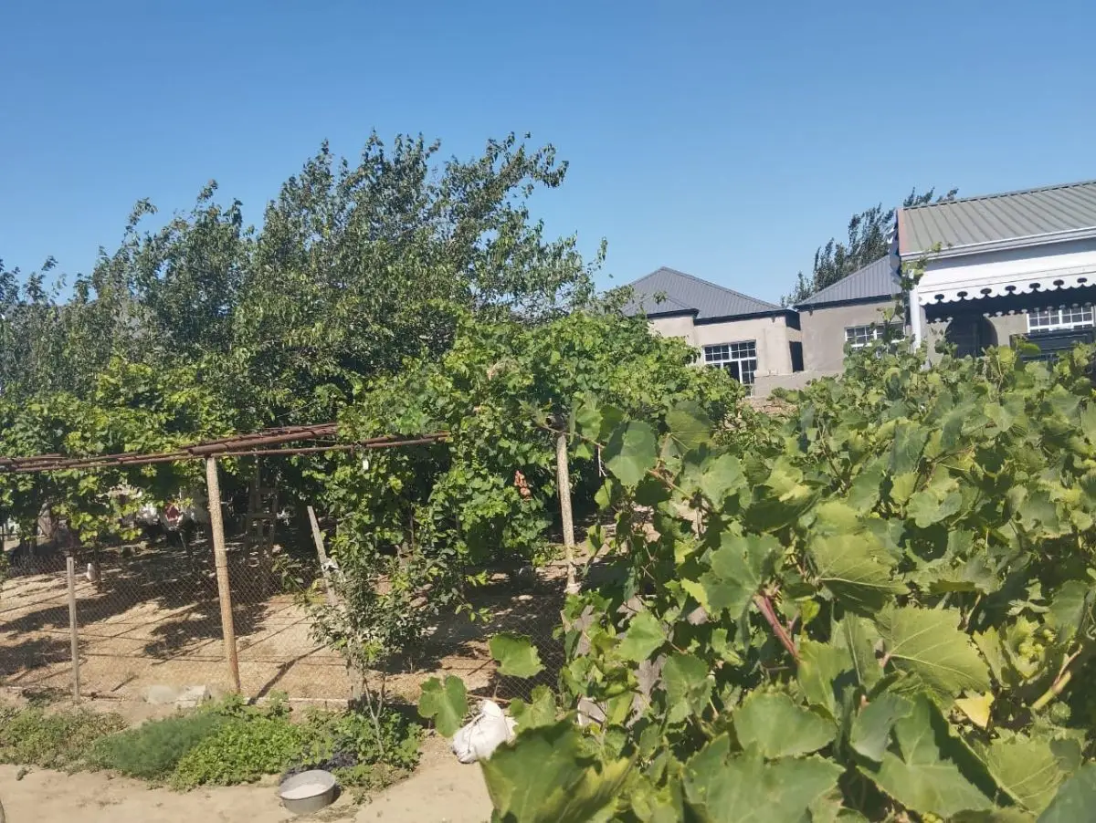 6 sot Torpaq Satılır, Yeni Ramana, Sabunçu, Bakı — Torpaq, Bakı (3)