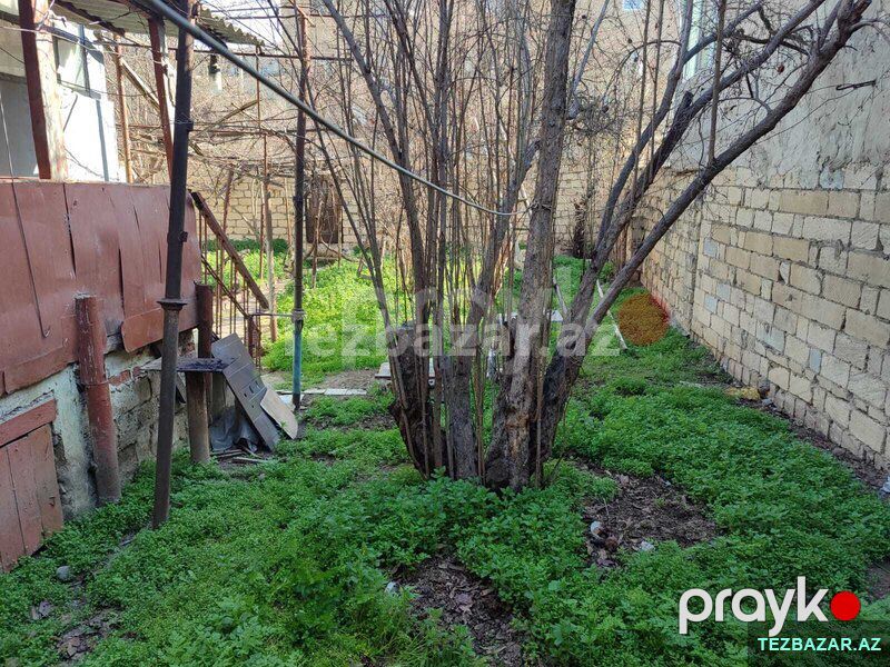 Bılecerıde heyet evı satısı — Ev, villa, Bakı (2)