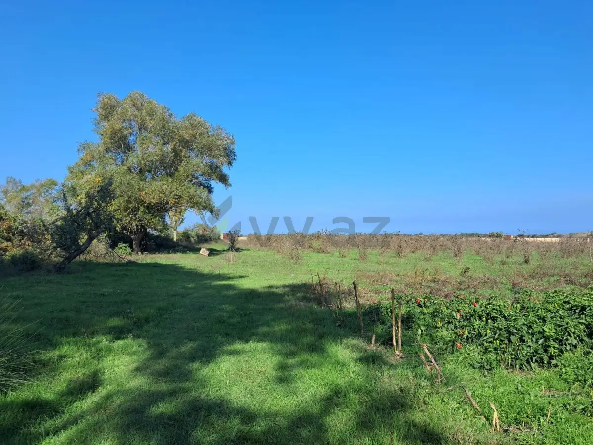 200 sot Torpaq Satılır, Xaçmaz — Torpaq, Xaçmaz (2)