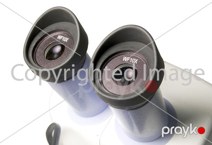 Mikroskop Levenhuk (bioloji) 5ST 35321 — Mikroskoplar, Bakı (4)