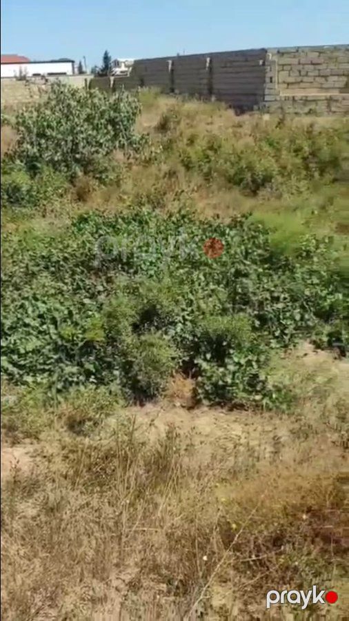 Torpaq sahəsi, 7 sot, Bağ təyinatlı, Müqaviləli, Sea breezze hosbitalin yaxinligi, Bakı — Torpaq, Bakı (3)