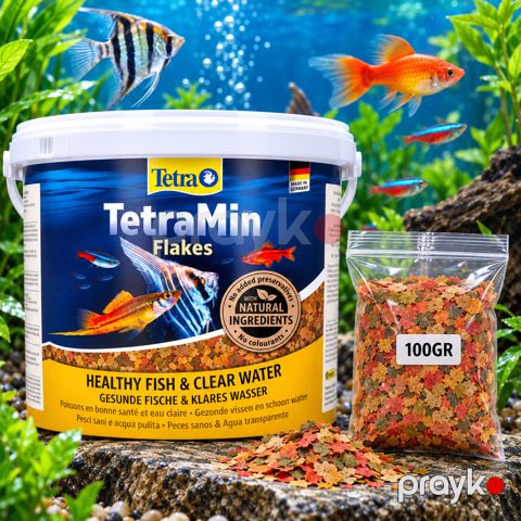 Tetramin Flakes 100 qr — Bakı