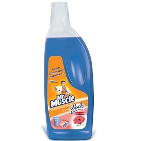 Döşəmələri və digər səthləri təmizləmək üçün vasitə Mr Muscle yağışdan sonra, 500 ml — Bakı
