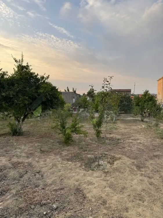 12 sot Torpaq Satılır, Saray, Abşeron