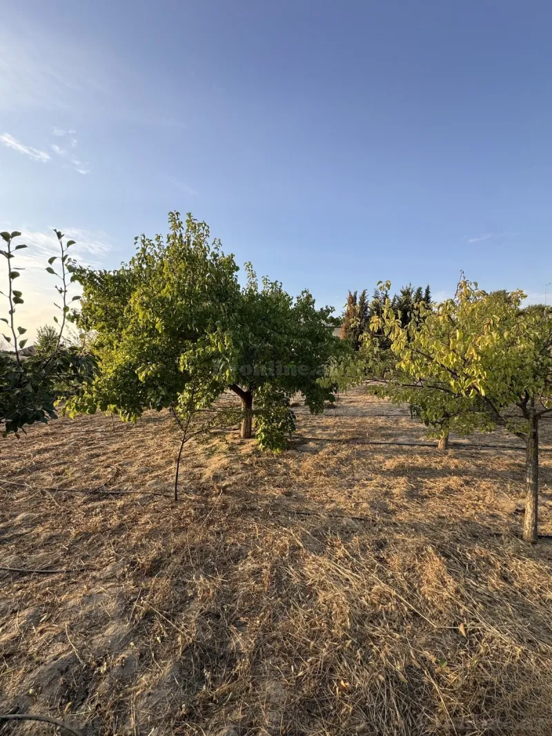 Satılır Torpaq 3 sot Bakı, Abşeron r., Novxanı — Bakı