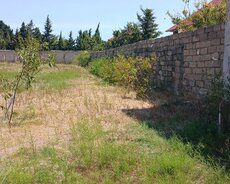 Torpaq Satılır Xəzər r., Buzovna q., 10 sot — Torpaq, Bakı (7)