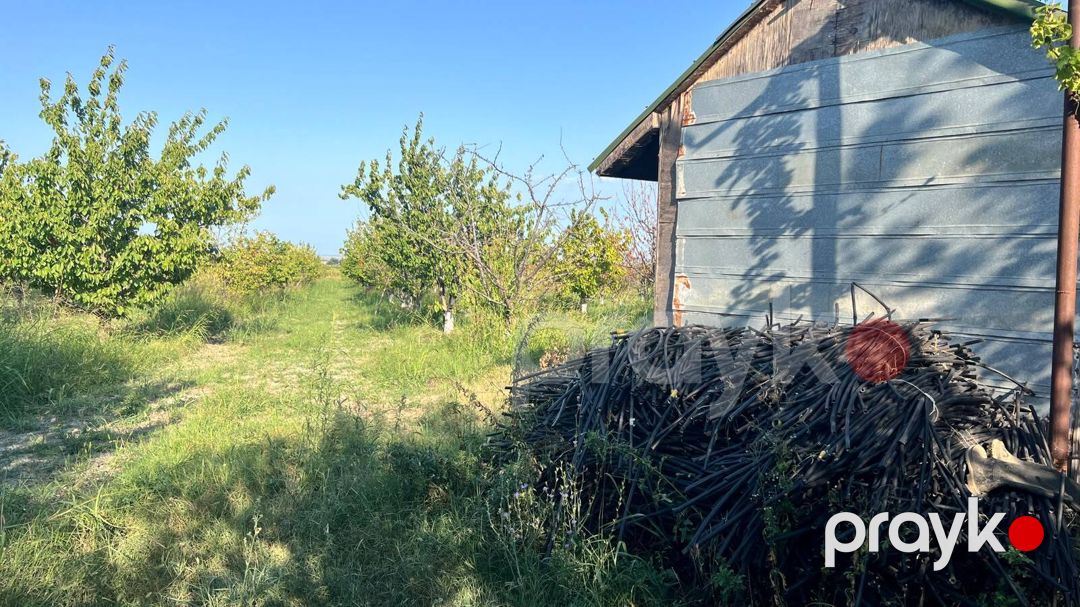 360 sot torpaq sahəsi, Quba r — Torpaq, Bakı (4)