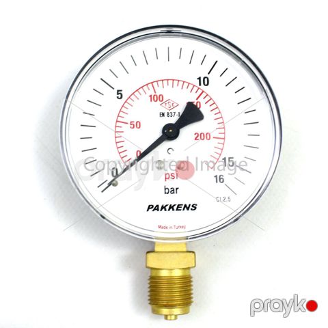 Manometr quru tipli (0-16 Bar 100 mm 1/2") Pakkens 1001000108 — Bakı