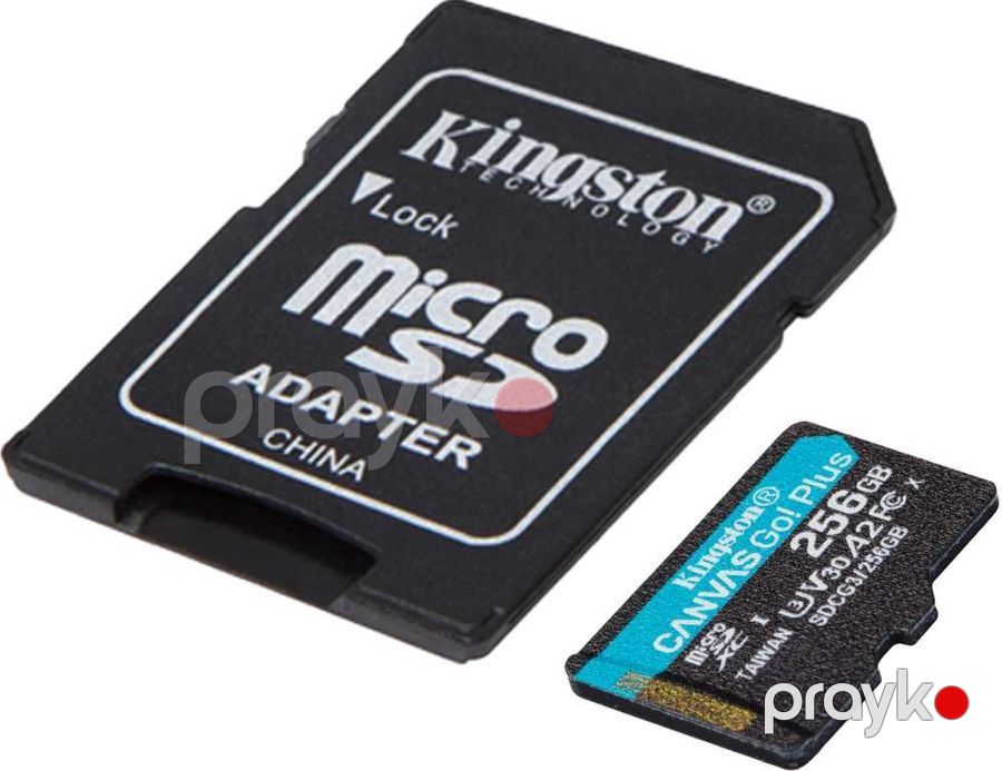 Kingston Canvas Go Plus microSDXC(SDCG4/256GB) — Periferik cihazlar, Bakı (3)