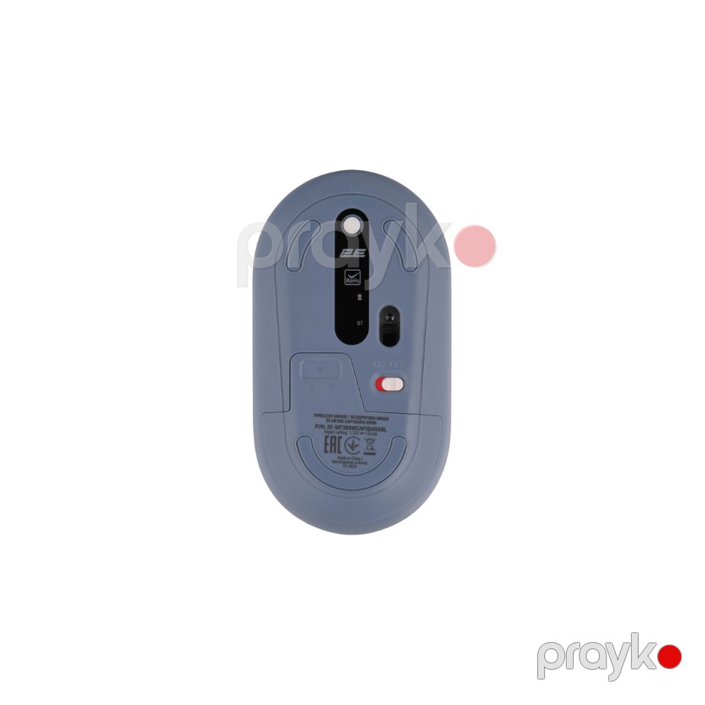 2E Mouse MF300 capybara:swım Silent wl bt, Blue (2E-MF300WCAPIBARABL) — Periferik cihazlar, Bakı (3)