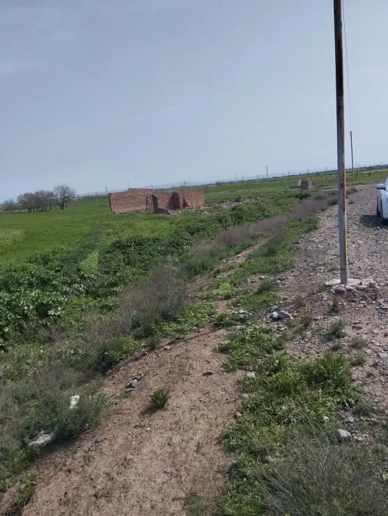 200 sot Torpaq Satılır, Samux — Torpaq, Samux (4)