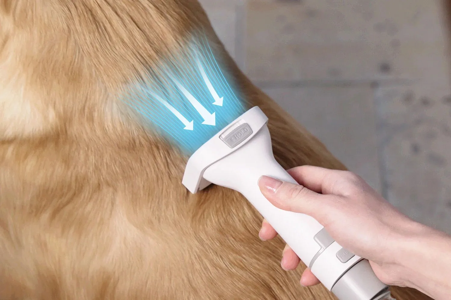 Petkit Pet Grooming Vacuum Kit 5-in-1 — Mallar, Bakı (2)