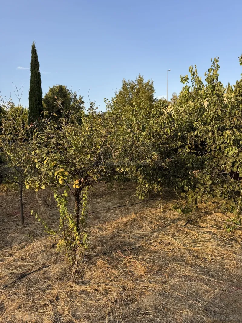 Satılır Torpaq 2 sot Bakı, Abşeron r., Novxanı — Torpaq, Bakı (2)
