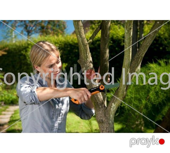 Bağ mişarı Fiskars (123870) 1000613 — Dacha və bağ, Bakı (8)