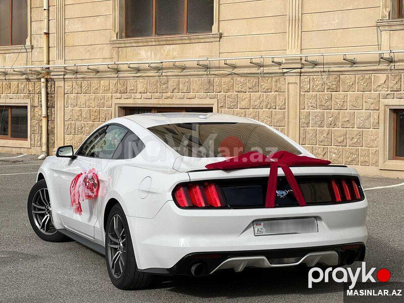 Ford Mustang coupe, 2017 il — Minik avtomobili icarəsi, Bakı (6)