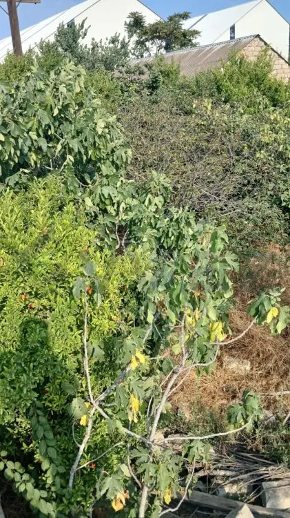 3 sot Torpaq Satılır, Bakıxanov qəs., Sabunçu, Bakı — Torpaq, Bakı (5)