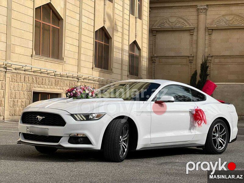 Ford Mustang coupe, 2017 il — Minik avtomobili icarəsi, Bakı (4)