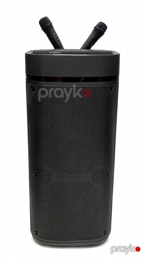 Bluetooth karaoke dinamik 2 mikrofonlu Smla ZQS12201 — Bakı