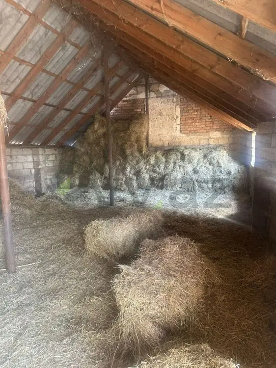 112 sot Torpaq Satılır, Göyçay — Torpaq, Göyçay (7)