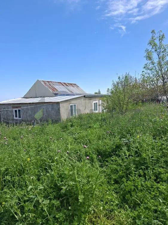 10 sot Torpaq Satılır, Şabran — Torpaq, Şabran (4)