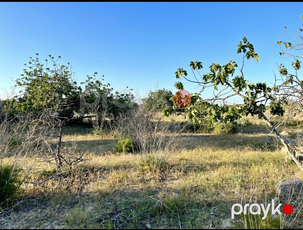 Satılır torpaq 18 sot — Torpaq, Bakı (6)