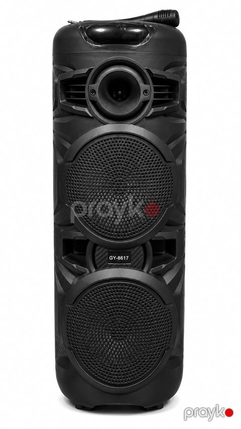 Bluetooth karaoke mikrofonlu portativ dinamik GY-8817 — Bakı