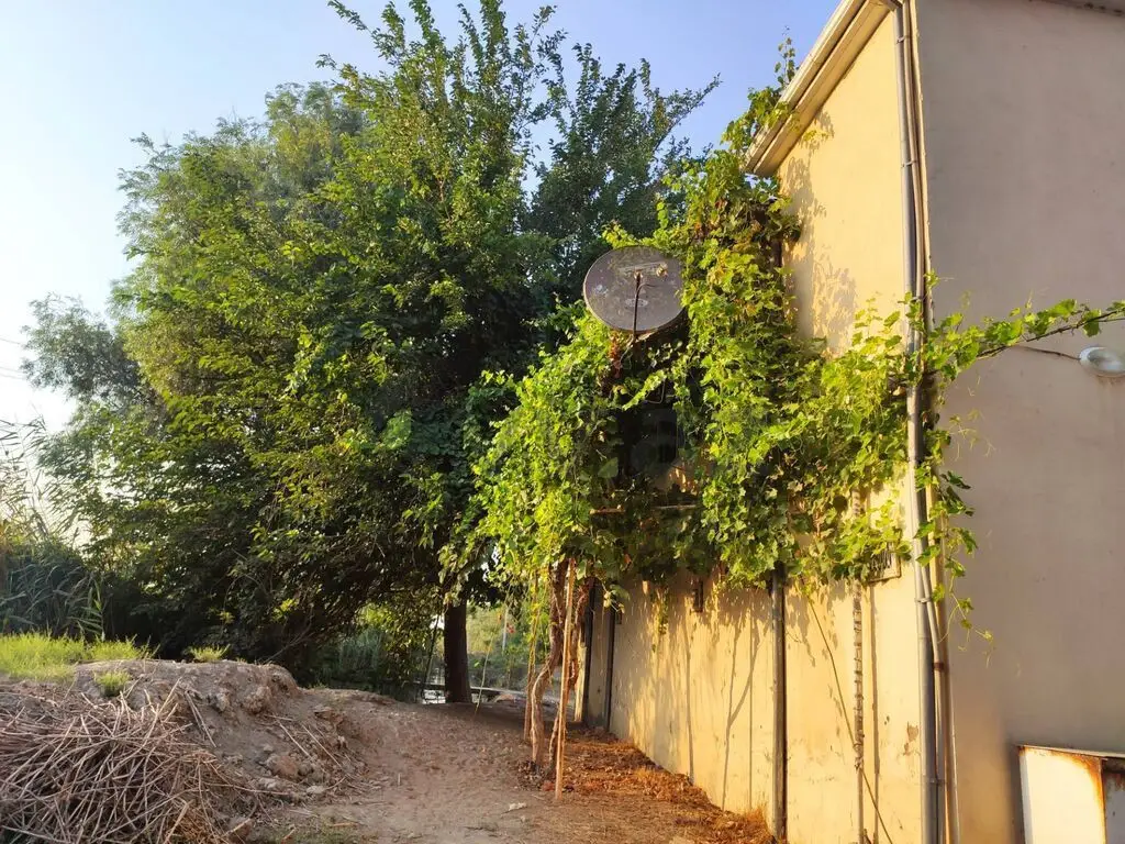 114 m² Obyekt / Ofis Satılır, Salyan — Əmlak, Salyan (4)